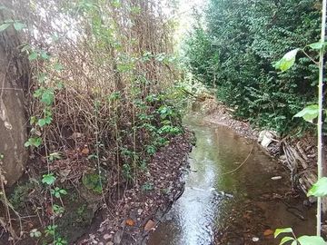 TERRENO RURAL AGRICOLA 15700 MT2