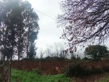 TERRENO RURAL AGRICOLA 15700 MT2