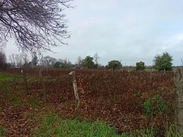 TERRENO RURAL AGRICOLA 15700 MT2