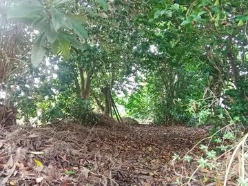 TERRENO RURAL AGRICOLA 15700 MT2