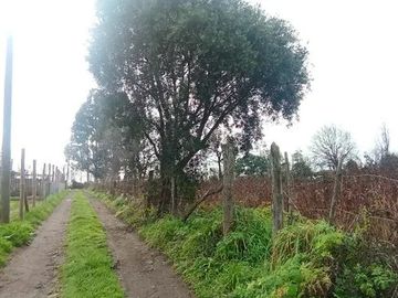 TERRENO RURAL AGRICOLA 15700 MT2