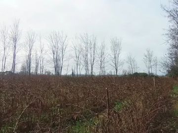 TERRENO RURAL AGRICOLA 15700 MT2