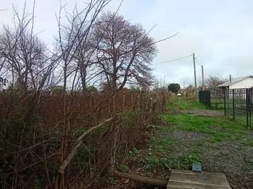 TERRENO RURAL AGRICOLA 15700 MT2