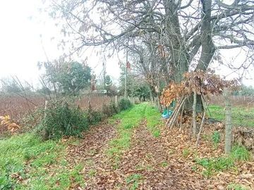TERRENO RURAL AGRICOLA 15700 MT2