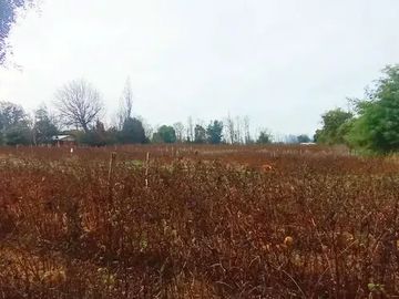 TERRENO RURAL AGRICOLA 15700 MT2