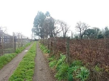 TERRENO RURAL AGRICOLA 15700 MT2