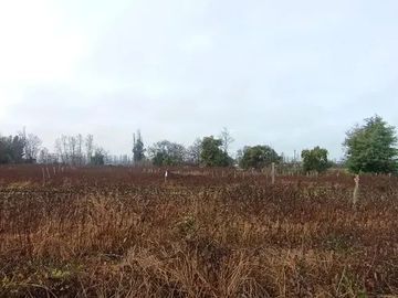 TERRENO RURAL AGRICOLA 15700 MT2