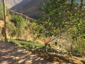 HERMOSO TERRENO CON CASA DE ADOBE 2D -1B Y ARBOLES FRUTALES