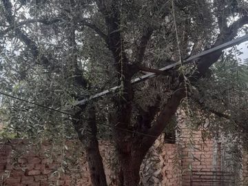 Venta lote residencial en General Gutiérrez, Maipu