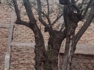 Venta lote residencial en General Gutiérrez, Maipu