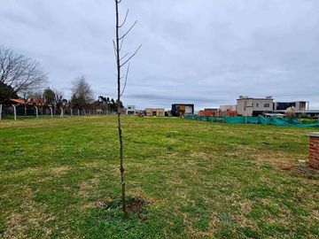 VENTA LOTE PILAR DEL ESTE