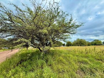 PRE VENTA Terrenos Loteo La 33