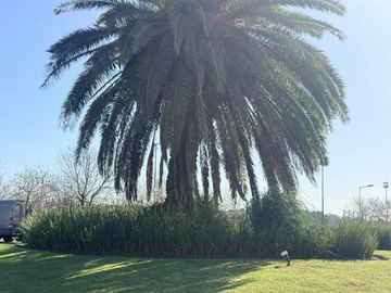 Casa en venta y alquiler anual al lago de 6 ambientes en El Canton  Islas
