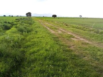 571 Hectáreas junto al Arco Norte