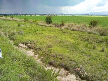571 Hectáreas junto al Arco Norte