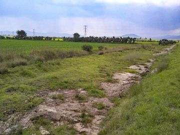 571 Hectáreas junto al Arco Norte