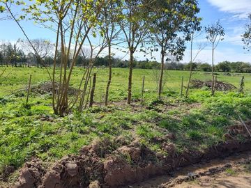 Lote de 610 m² en B° Parque El Ombú – Los Cardales