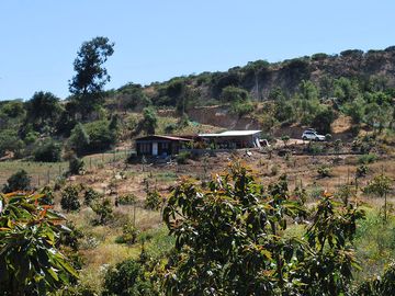 Vende Parcela agrícola ; Paltos, Cítricos. Agua de pozo.