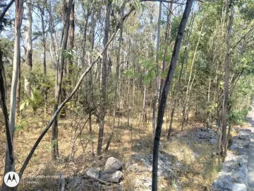 VENTA TERRENO PROYECTO COMERCIAL Y HABITACIONAL