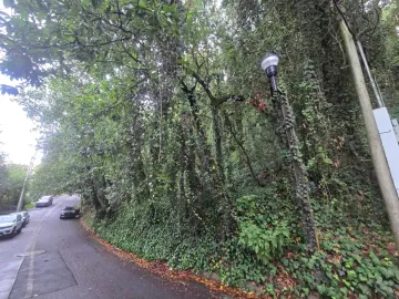 Terreno residencial en venta en Bosques de San Ángel zona Palmillas en San Pedro Garza García