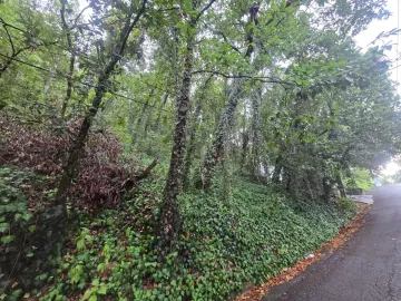 Terreno residencial en venta en Bosques de San Ángel zona Palmillas en San Pedro Garza García