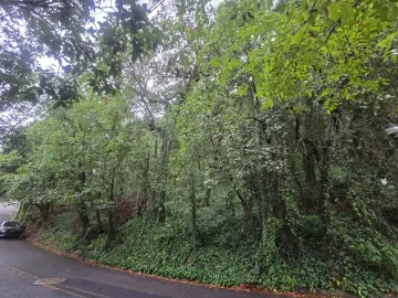 Terreno residencial en venta en Bosques de San Ángel zona Palmillas en San Pedro Garza García