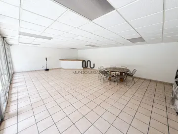 Departamento en renta en Polanco IV Sección, Miguel Hidalgo, Ciudad de México