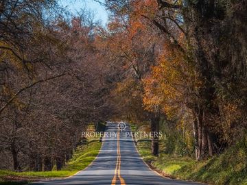 OPORTUNIDAD PARCELAS A ORILLA DE CARRETERA EN PANGUIPULLI VENTA DIRECTA SIN COMISIÓN