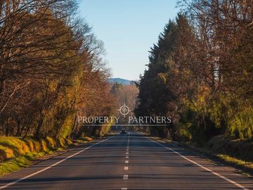 OPORTUNIDAD PARCELAS A ORILLA DE CARRETERA EN PANGUIPULLI VENTA DIRECTA SIN COMISIÓN