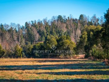 PRECIO LANZAMIENTO | PARCELAS  EN PANGUIPULLI DESDE $29.990.000 VENTA  DIRECTA