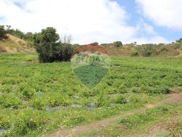 Tu Refugio Autónomo en Santo Domingo