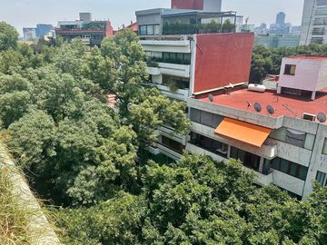 Polanco venta amplio y céntrico departamento para remodelar !!