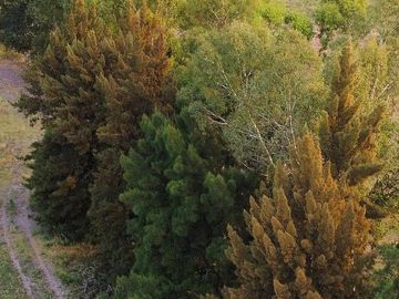 Terreno en Pilar