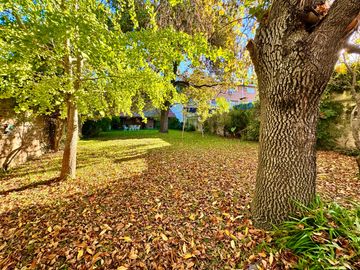 Gran chalet con increíble jardín en Olivos - Vicente López