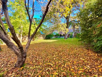 Gran chalet con increíble jardín en Olivos - Vicente López