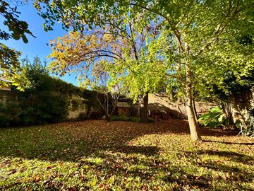 Gran chalet con increíble jardín en Olivos - Vicente López