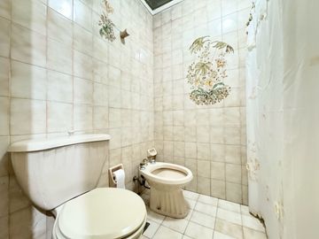Gran chalet con increíble jardín en Olivos - Vicente López