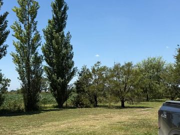 Campo en Salto Grande