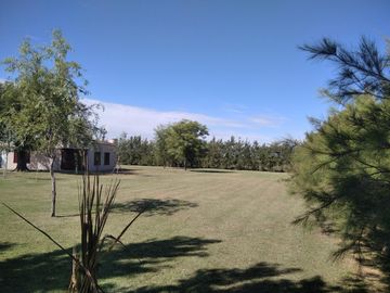 Campo en Salto Grande