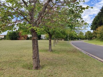 LOTE PREMIUM AL LAGO EN LA ISLA – NORDELTA