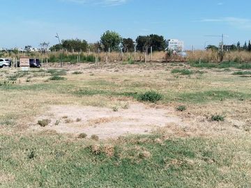 Lote  al agua en Silvestre Nordelta