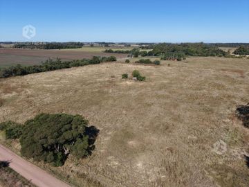 Quinta de 4 Hectáreas a metros del centro de la ciudad