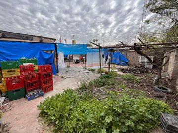 Restaurant 140 m2 útiles, 2.100 m2 terreno