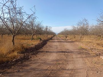 PARCELA EN ALMENDRALES DE TABALI A 15 MINUTOS DE OVALLE