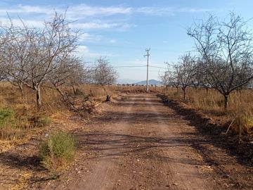 PARCELA EN ALMENDRALES DE TABALI A 15 MINUTOS DE OVALLE