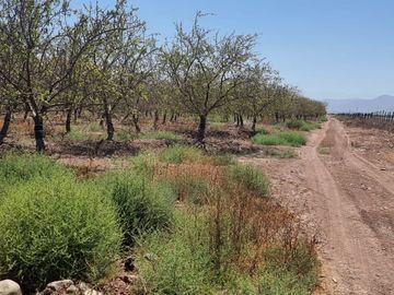 PARCELA EN ALMENDRALES DE TABALI A 15 MINUTOS DE OVALLE
