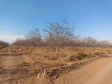 PARCELA EN ALMENDRALES DE TABALI A 15 MINUTOS DE OVALLE