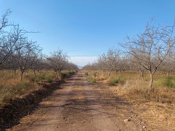 PARCELA EN ALMENDRALES DE TABALI A 15 MINUTOS DE OVALLE