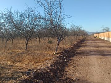 PARCELA EN ALMENDRALES DE TABALI A 15 MINUTOS DE OVALLE