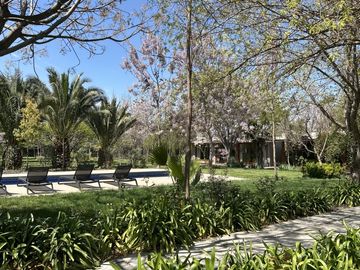 JULIO PHILIPPI  IZQUIERDO, CHICUREO PONIENTE